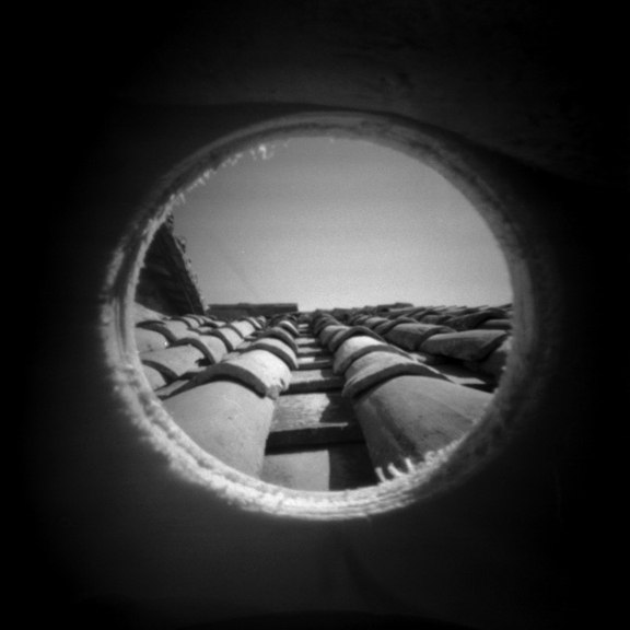 Фото - Пинхол-камера Скворечник: мир глазами перелетной птицы