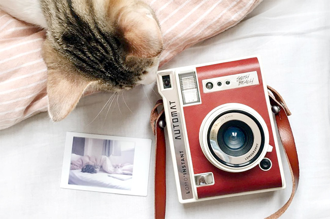 Lomo'Instant Automat и другие фотоаппараты Lomography скоро в FOQUS-е!