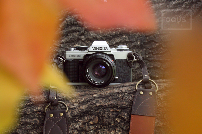 Minolta XG-M в FOQUS