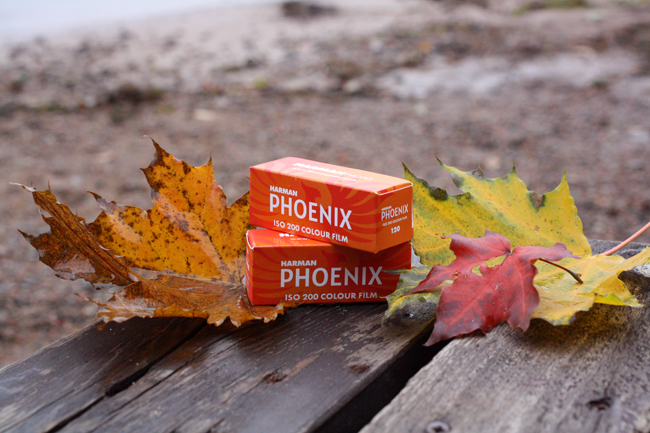 Harman Phoenix 200 - новая цветная пленка 120 типа