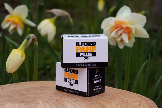 Черно-белая пленка с уникальной резкостью - Ilford Pan F Plus 50