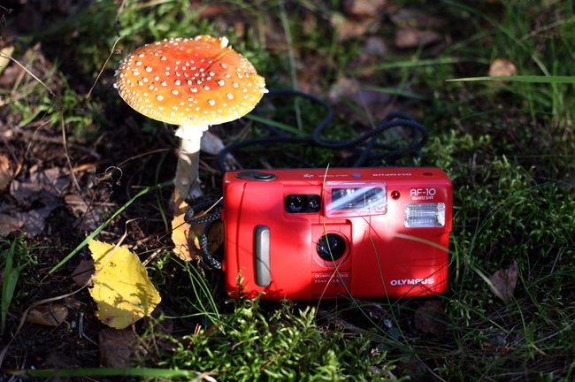 Свежее поступление пленочных фотоаппаратов