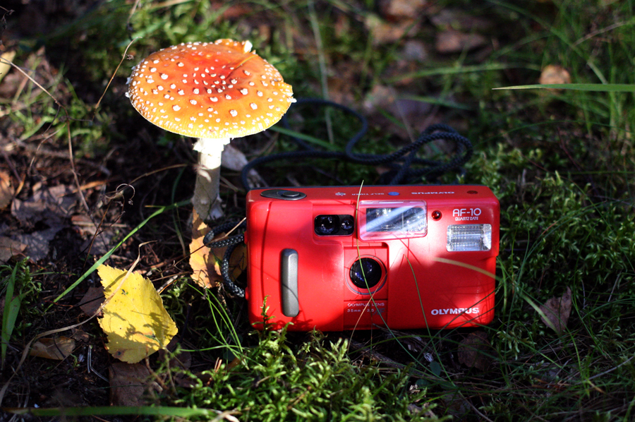 Картинка - Компактный пленочный фотоаппарат Olympus AF-10 в редком красном цвете. Компактный пленочный фотоаппарат Olympus AF-10 в редком красном цвете. | FOQUS