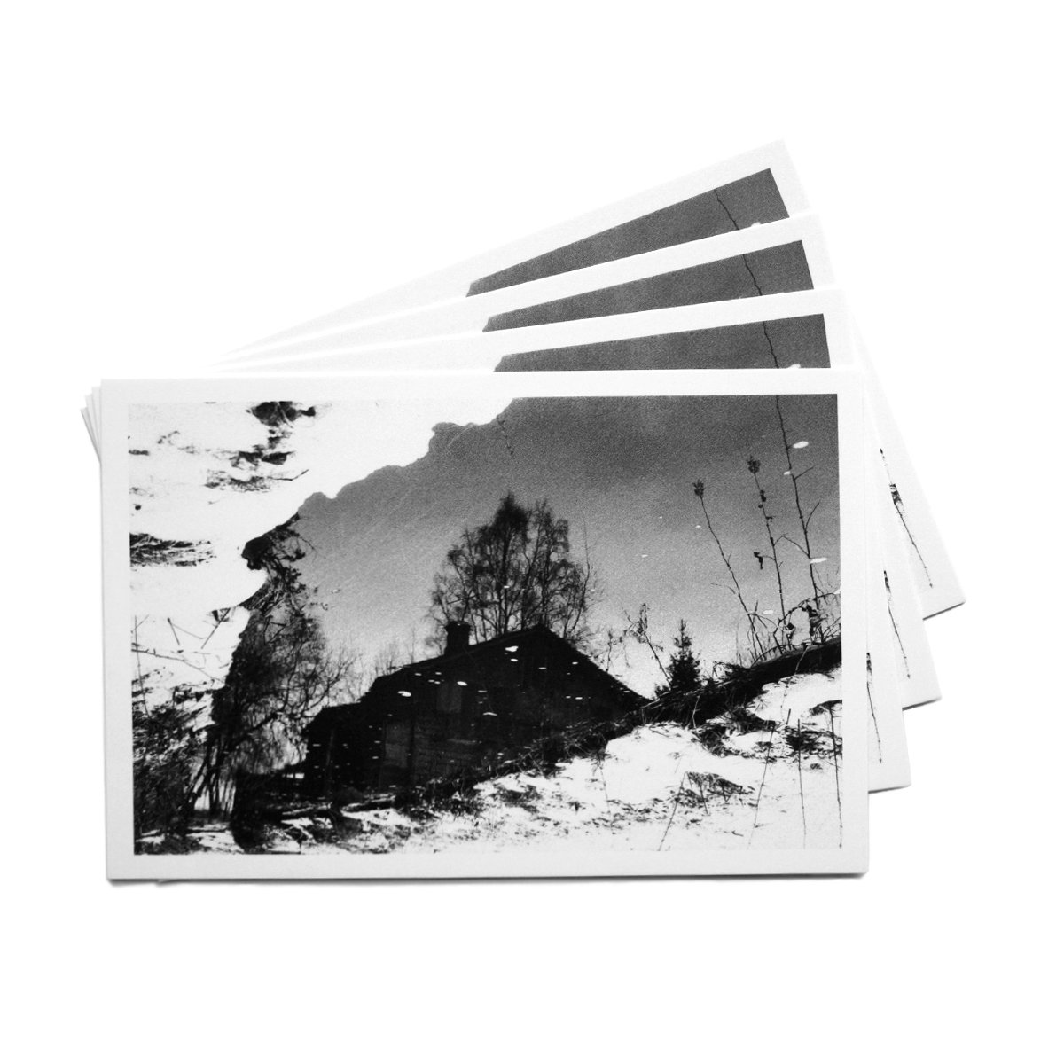 Открытка 'Reflection'