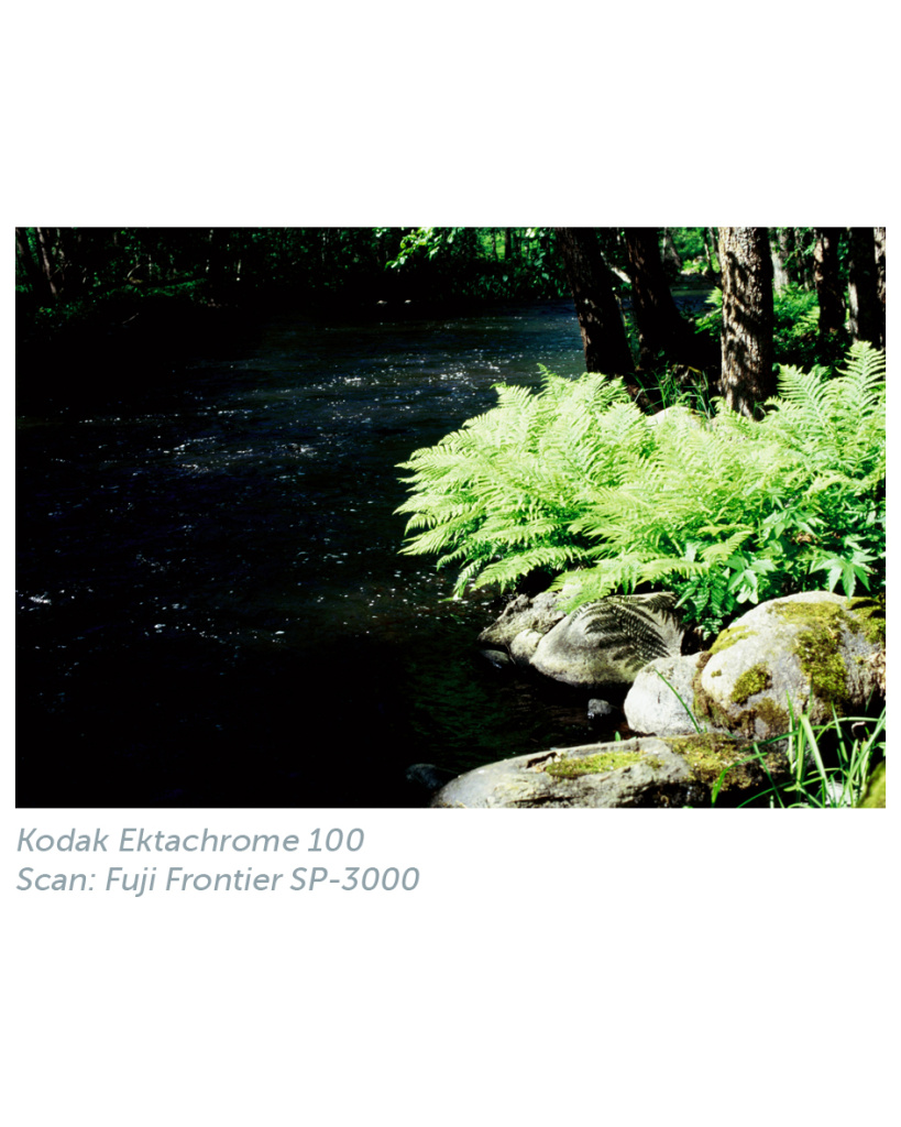 kodak_ektachrome_100_frontier_1.jpg