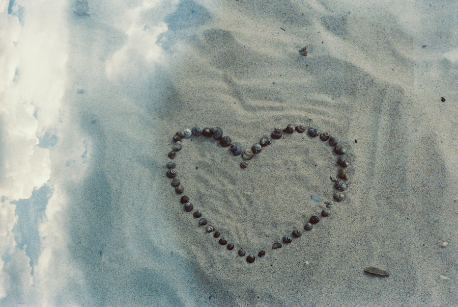 Данилова Полина + Максимович Ксения.jpg