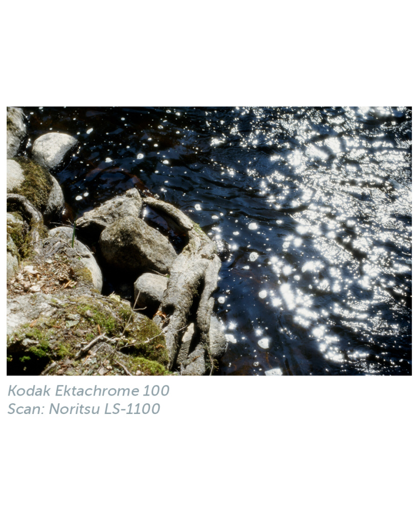 kodak_ektachrome_100_noritsu_2.jpg