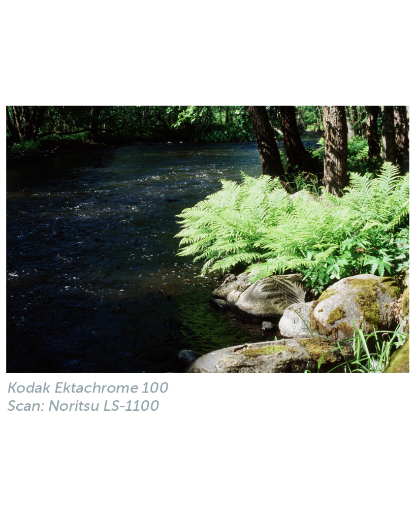 kodak_ektachrome_100_noritsu_1.jpg
