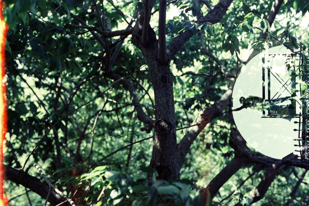 Алтабаева Дарья и Денис Миров (2).JPG