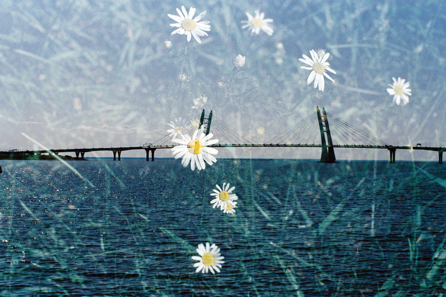 Федорова Дарья, Купянский Владислав.jpg