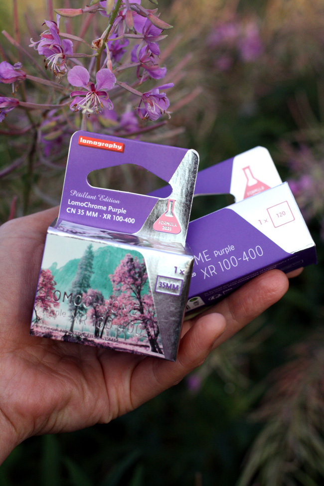 lomochrome_purple_dope.jpg