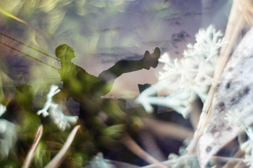 kurolesova+Лапицкая Кристина.jpg