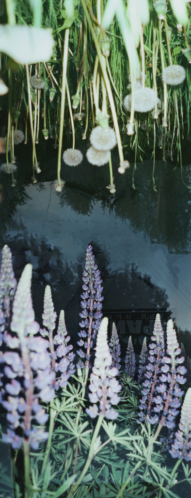 Максим Грецкий + Ирина Затонская.jpg