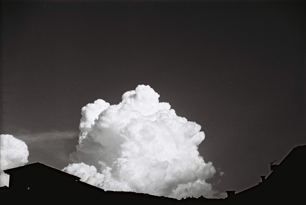 53189835493_014903920f_k.jpg 53189835493_014903920f_k.jpg