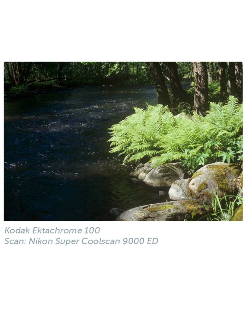 kodak_ektachrome_100_nikon_1.jpg