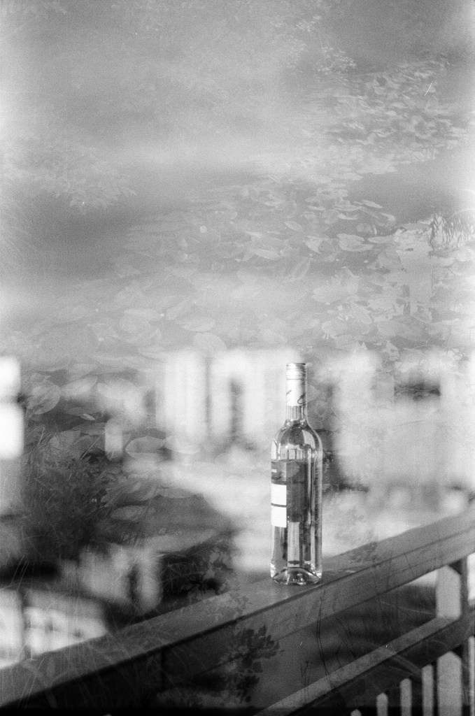 Витовтова Анастасия + Дивногорская Ольга.jpg