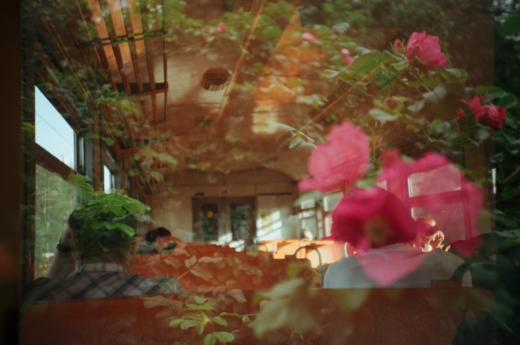 Антон Конышев - Антонина Полевая.jpeg