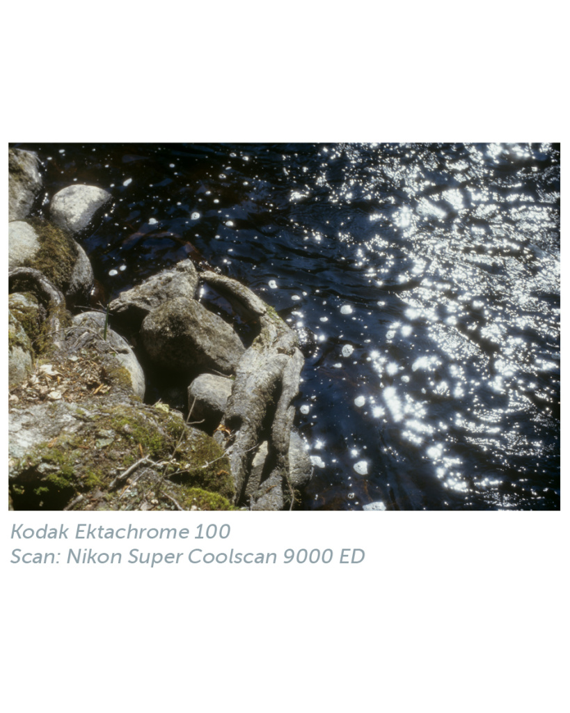 kodak_ektachrome_100_nikon_2.jpg
