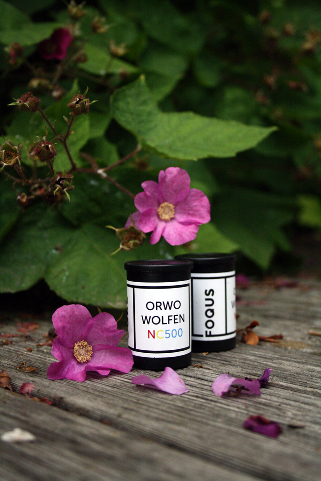 ORWO_Wolfen_NC500_2_min.jpg ORWO_Wolfen_NC500_2_min.jpg